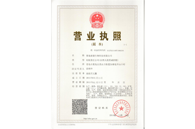 新康科技營業(yè)執(zhí)照