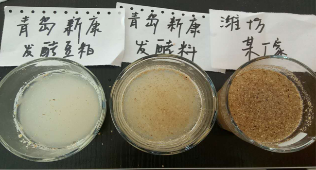 發(fā)酵飼料