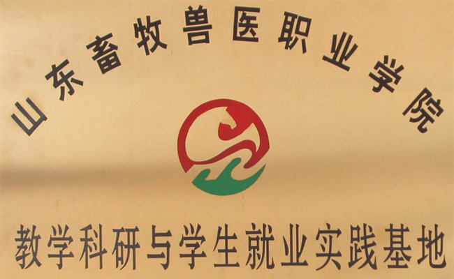 新康科技