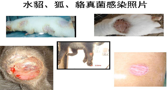 青島新康科技技術(shù)部案例分享