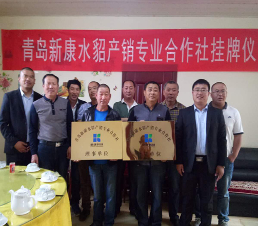 青島新康水貂產(chǎn)銷專業(yè)合作社納員啦！快看看都有誰入社
