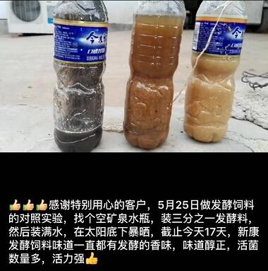 發(fā)酵飼料實(shí)驗(yàn)