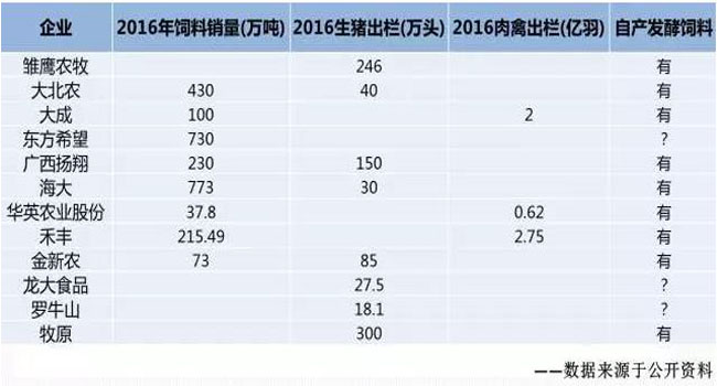 發(fā)酵技術加盟