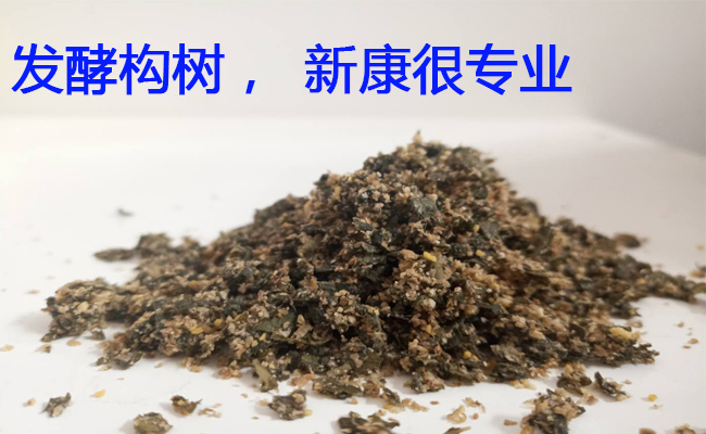 發(fā)酵構(gòu)樹廣告