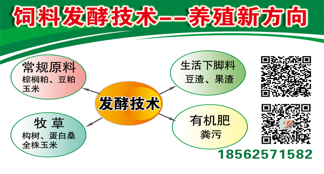 飼料發(fā)酵技術加盟