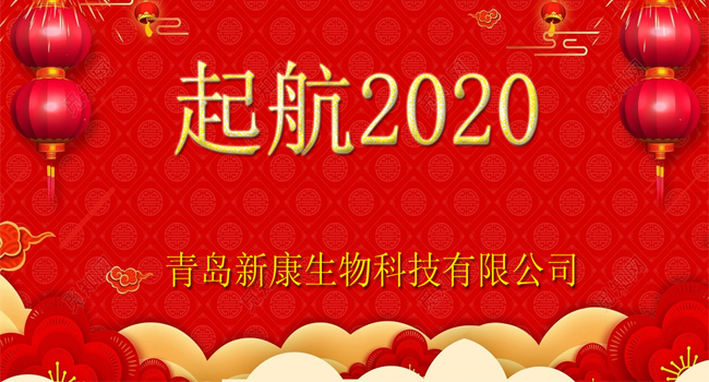 青島新康科技元旦晚會