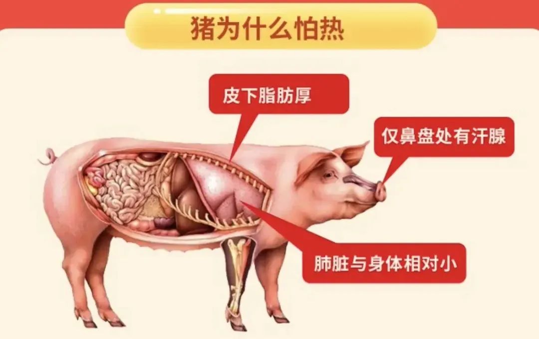微信圖片_20220712145922