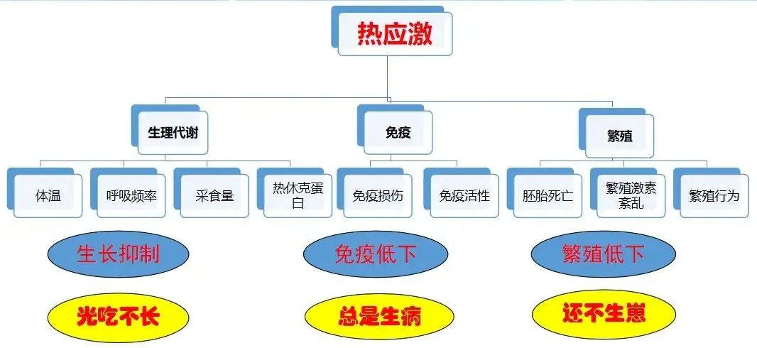 微信圖片_20220712145918