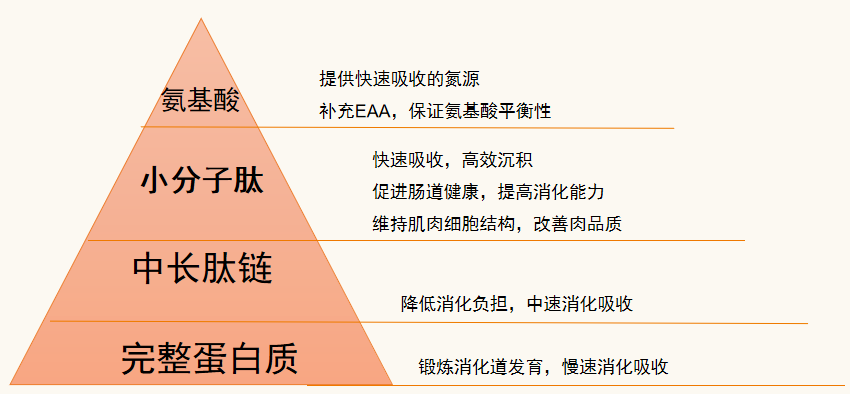 微信圖片_20220728171155