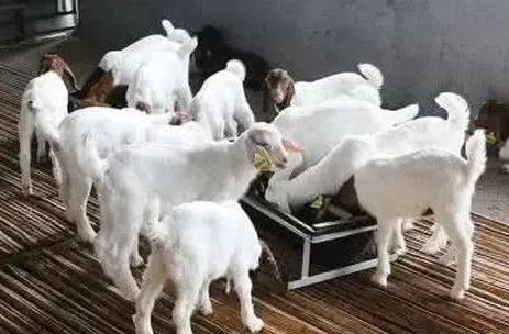 微信圖片_20220810142438