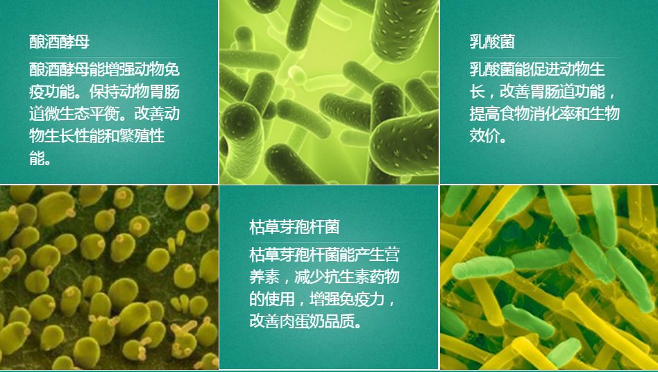 微信圖片_20220822163346