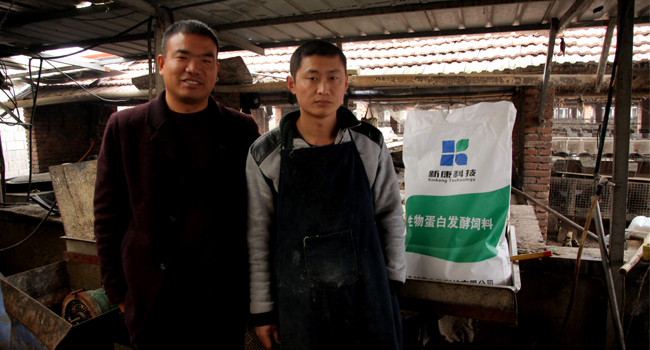 青島新康發(fā)酵飼料：助力養(yǎng)殖戶(hù)節(jié)省成本，提升效益