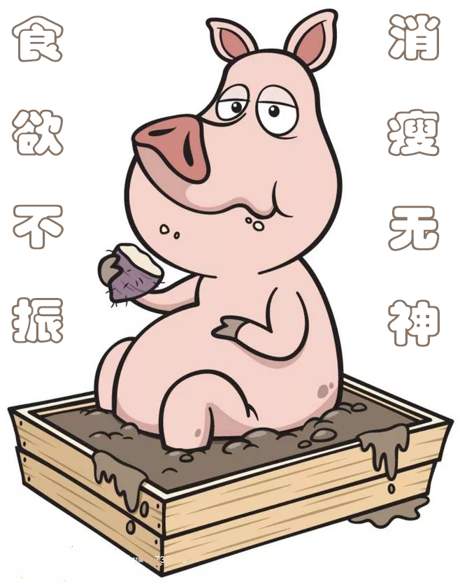 yy8_結(jié)果