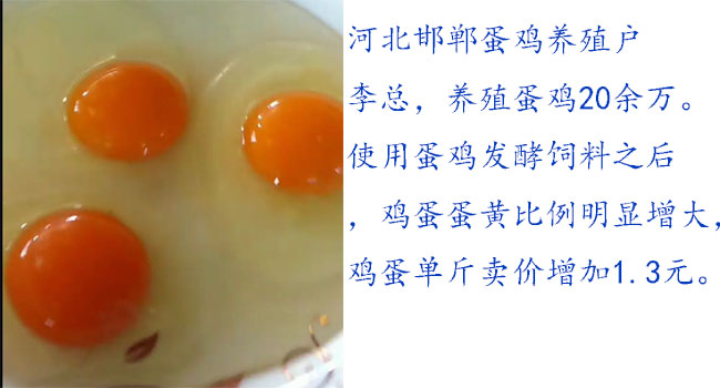 蛋雞發(fā)酵飼料增加產(chǎn)品賣價(jià)